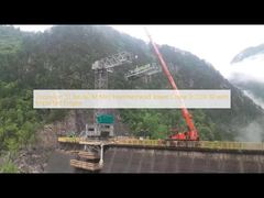 Zoomlion 10 Ton 60 M Mini Hammerhead Tower Crane Tc7013-10 with Imported Engine